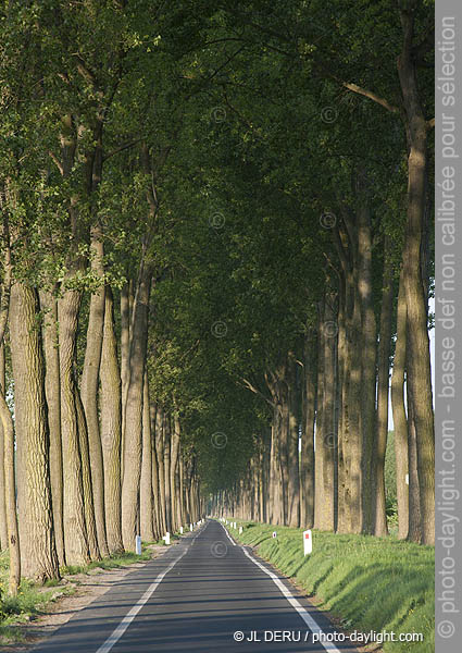 Brugge - Bruges